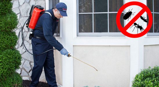 Sarıgöl Dezenfeksiyon böcek ilaçlama ve haşere kontrolü — ilaclama-tr.com